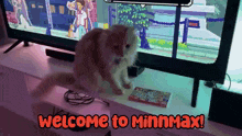 Welcome To Minnmax Minnmax Pets GIF - Welcome To Minnmax Minnmax Minnmax Pets GIFs