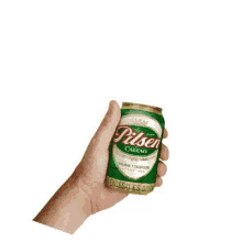 pilsen callao cheers beer