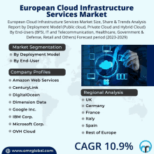 European Cloud Infrastructure Services Market GIF