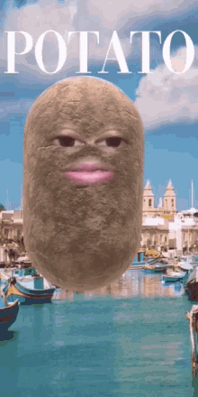 Potato Ugly GIF - Potato Ugly Alexa04 GIFs