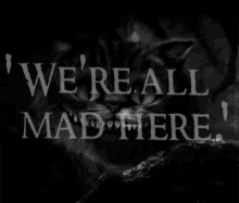 Cheshire Cat GIF - Cheshire Cat Were All Mad Here GIFs