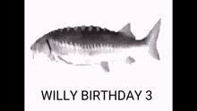 Willy Birthday GIF - Willy Birthday GIFs