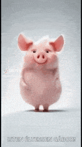 a pink pig is standing on its hind legs with its arms outstretched .
