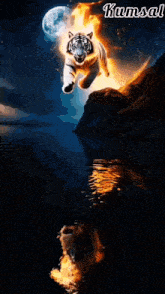 a picture of a tiger on fire with the name kumsal on the bottom