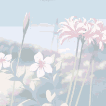 Aesthetic Flower GIF - Aesthetic Flower Nature GIFs