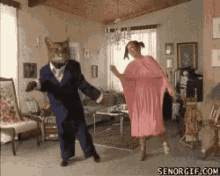 Dancing Cats GIF - Dancing Cats Lol GIFs