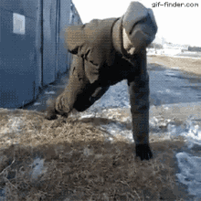 Pushup Owned GIF - Pushup Owned Nohands GIFs