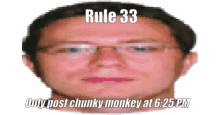 monkey chunky