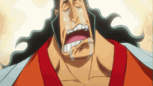 Oden Crying One Piece GIF