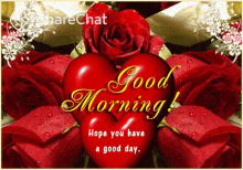 Good Morning Hope You Have A Good Day GIF - Good Morning Hope You Have A Good Day शुभ GIFs