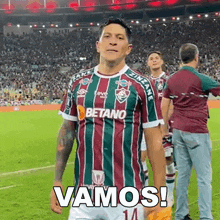 Vamos Vamos Fluminense GIF