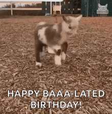 a baby goat is standing in a pile of wood chips and says `` happy baaa-lated birthday ! ''