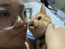 a woman wearing glasses holds a cat in her arms
