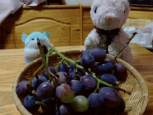 Bunny Grapes GIF - Bunny Grapes Want Some GIFs