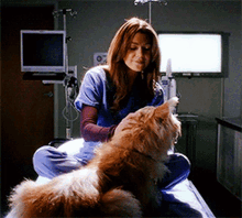 Greys Anatomy Meredith Grey GIF - Greys Anatomy Meredith Grey Dog GIFs