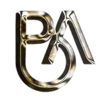 a metallic letter p and a metallic letter n are displayed on a white background