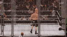 Roman Reigns Brock Lesnar GIF - Roman Reigns Brock Lesnar Size Up GIFs
