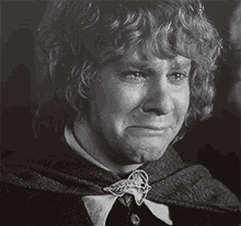 crying sad sean astin lords of the rings