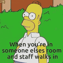 hide bush thes simpsons homer simpson when youre in someone elses romm and staff walks in