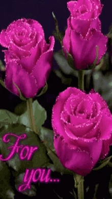 Pink Roses GIF - Pink Roses Shiny GIFs