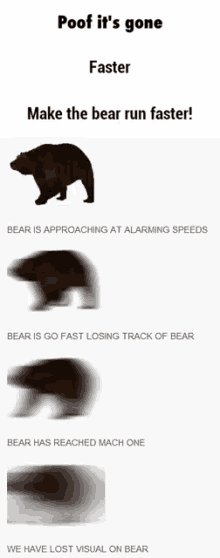 Bears Fast GIF