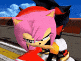 a cartoon of amy rose and shadow the hedgehog in a video game