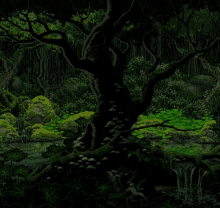 Forest Big GIF - Forest Big Tree GIFs