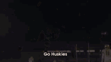 Huskies Football GIF - Go Huskies Go Dawgs Uw GIFs