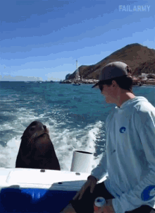 Seal Bite GIF - Seal Bite Ouch GIFs
