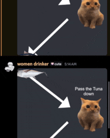 a screenshot of a conversation between rick and kira shows a cat and a fish