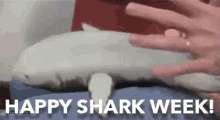Shark Week Happy Shark Week GIF - Shark Week Happy Shark Week Sharks GIFs