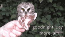 Goodnight Lucy Game Jam GIF - Goodnight Lucy Game Jam Owl GIFs
