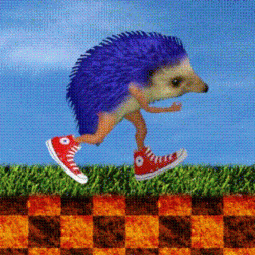 Hedgehog Sonic GIF - Hedgehog Sonic Sanik GIFs