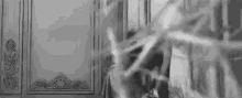 a black and white photo of a man standing in front of a door with a spider web coming out of it .
