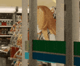 a cartoon character is standing in a store next to a sign that says ' coca cola '