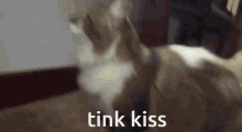 Tink Tink Cat GIF - Tink Tink Cat Cat GIFs
