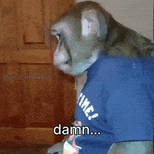 a monkey wearing a shirt that says time damn