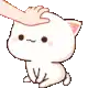 a person is petting a cat 's head with their hand .