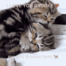 I Love Brooke GIF - I Love Brooke GIFs