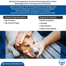 Companion Animal Postoperative Pain Management Therapeutics Market GIF
