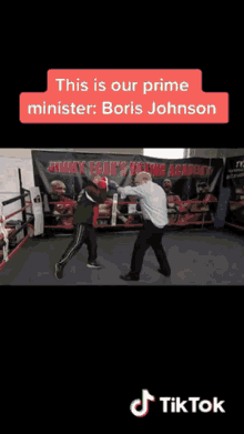 Boris Johnson Prime Minister GIF - Boris Johnson Prime Minister Tik Tok GIFs