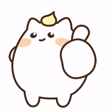 chubby cute cat good happy