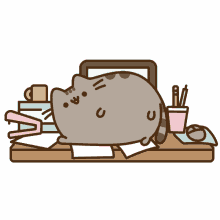 fat pusheen