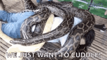 Python Snake GIF - Python Snake Snake Pile GIFs