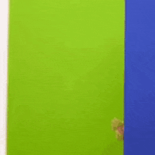 a woman is standing in front of a green screen and a blue wall .