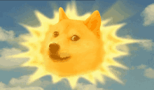 Doge Dogecoin GIF - Doge Dogecoin Gm GIFs