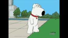 family guy brian griffin brian griffin dog house brian griffin snoopy