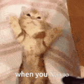 халло Hallo GIF