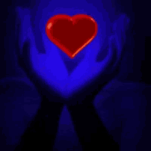 Love Amor GIF - Love Amor Heartbeat GIFs
