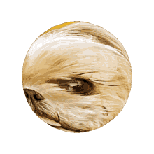 wheatskins rotating sphere sphereskins